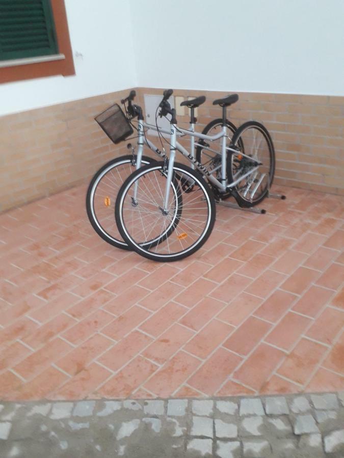 Alojamento Local Patudos, Suite Com Terraco Privado Tavira Exterior foto
